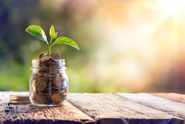 a jar filled with coins and a plant growing out of it.